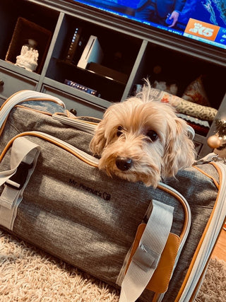 Mr. Peanut's Platinum Series Expandable Pet Carrier Mr. Peanut's Pet Carriers