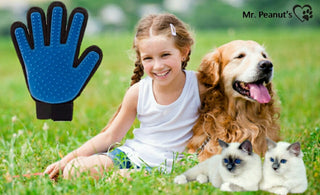 Mr. Peanut's 2 Pak HanD 259 Silicone Pins Pet Grooming Gloves - By Baano