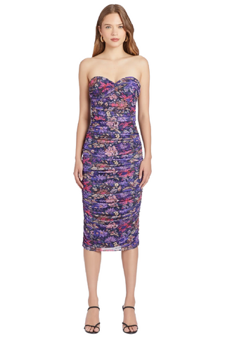 Lopez Dress in Printed Mesh