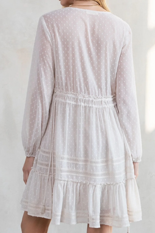 Dreamy Sheer Swiss Dot Long Sleeve Mini Dress