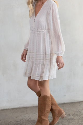 Dreamy Sheer Swiss Dot Long Sleeve Mini Dress
