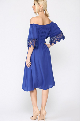 Royal Lace Flare Dress