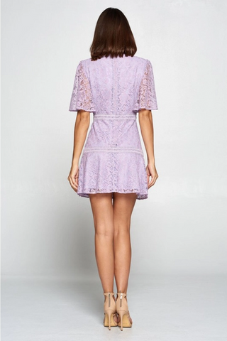 Lilac Lace Floral Mini Dress