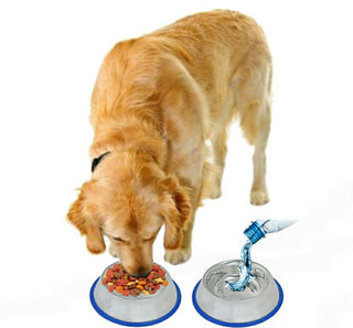 Set of 2 Etched Stainless Steel Dog Bowls with Blue Silicone Base - By Baano