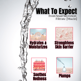 Snail Mucin 98 Power Bomb Essence