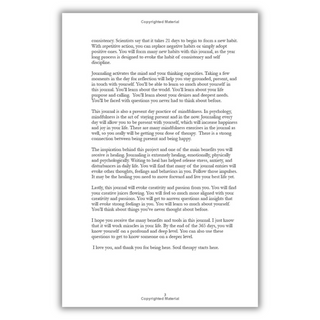 Soul Therapy: A 365 day journal for self exploration, healing and reflection (Spiral Bound) - By Baano