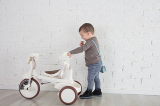 iimo 3-in-1 Foldable Tricycle with Canopy - By Baano