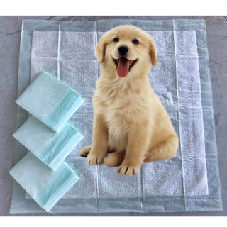 Mr. Peanut’s Premium Absorbent Gel Pee Pads 23"X23", 6 Layers of Lightly Scented Protection Mr. Peanut's Pet Carriers
