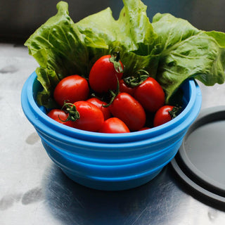 Mr. Peanut's 30oz Collapsible Silicone Camping Bowl with Lid & Foldable Fork - By Baano