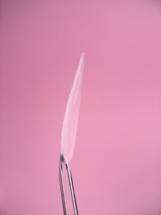 ELITE EMBRACE by BEYOU DUAL (TOP) NAIL FORMS