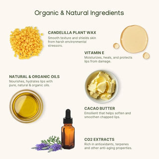 ILIKA Lip balm, Organic, 100% Plant-based, Natural Lip Treatment, COSMOS Certified Organic, PETA Certified Vegan & Cruelty-Free 2 Pack, Ginger Lemon & Almond Cardamom Rose - By Baano