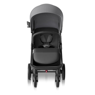 Mompush Nova