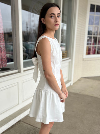 Isabelle Sleeveless Drop Waist Mini Dress
