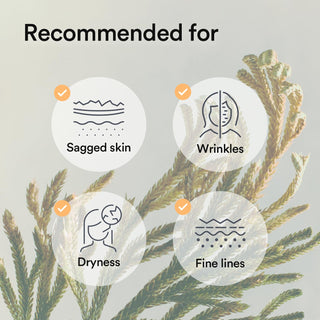 Abib Collagen Gel Mask (Jericho Rose Jelly)