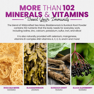 Sea Moss Gummies With Elderberry & Black Seed Oil - By Baano