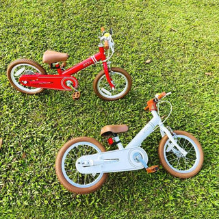 iimo 2-in-1 Balance Bike 14" (Balance Bike to Pedal Bike) - By Baano