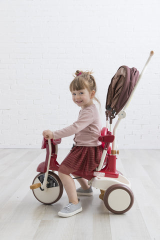 iimo 3-in-1 Foldable Tricycle with Canopy - By Baano