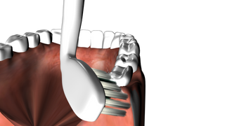 Replacement Toothbrush Head Cleaning White (Pack of 2) - By Baano