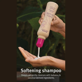 Aveda Cherry Almond Softening Shampoo 250ml & Cherry Almond Smoothing Conditioner 200 ml Chivela