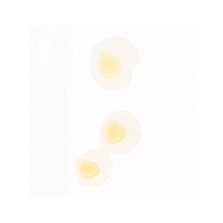 Dermalogica Phyto Nature Firming Serum 40 ml - By Baano