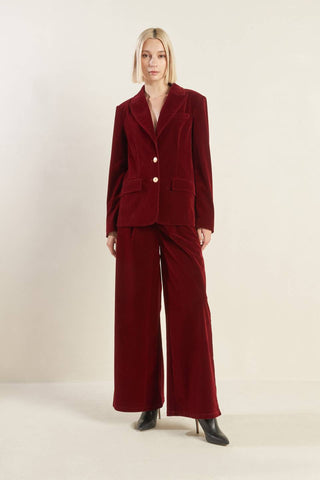 COY CHARM VELVET PANTS - By Baano