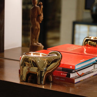 Gold Elephant Candle Thompson Ferrier