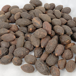 Saw Palmetto Berries