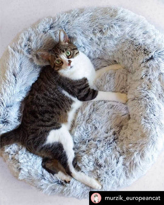 Mr. Peanut's 23" OrthoPlush® Pet Bed - Gray Two Tone - By Baano