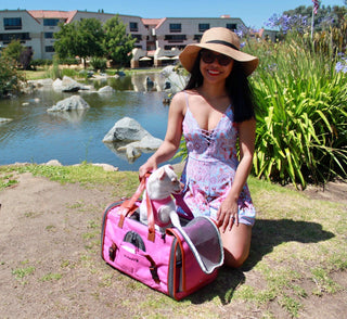 Mr. Peanut's Gold Series Standard Size Airline Compliant Pet Carrier Mr. Peanut's Pet Carriers