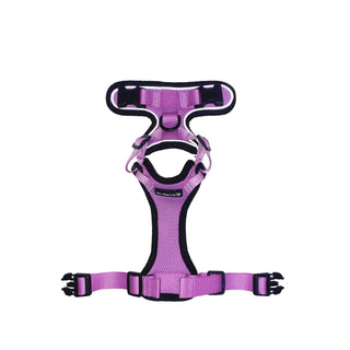 Mr. Peanut's PurrTrek Reflective Cat Harness with Matching Leash - By Baano