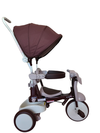 iimo 3-in-1 Foldable Tricycle with Canopy - By Baano