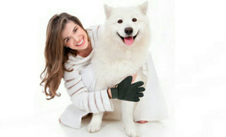 Mr. Peanut's 2 Pak HanD 259 Silicone Pins Pet Grooming Gloves - By Baano