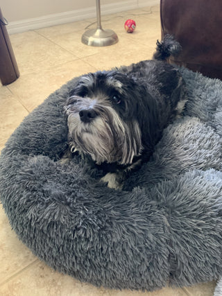 Mr. Peanut's 23" OrthoPlush® Pet Bed - Gray Two Tone - By Baano