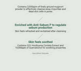 ANUA Heartleaf Quercetinol Pore Deep Cleansing Foam