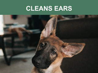 Mr. Peanut's Naturals Plant Based, Flushable, Compostable, Unscented Pet Wipes, 160 Count, Larger 8x6" Size - By Baano