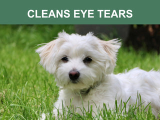 Mr. Peanut's Naturals Plant Based, Flushable, Compostable, Unscented Pet Wipes, 160 Count, Larger 8x6" Size - By Baano