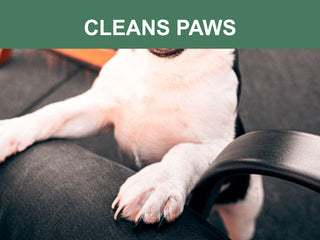 Mr. Peanut's Naturals Plant Based, Flushable, Compostable, Unscented Pet Wipes, 160 Count, Larger 8x6" Size - By Baano