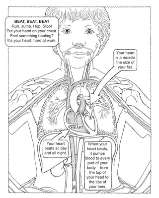 My First Human Body Book (Spiral Bound) Lay it Flat Publishing Group