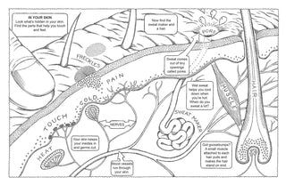 My First Human Body Book (Spiral Bound) Lay it Flat Publishing Group