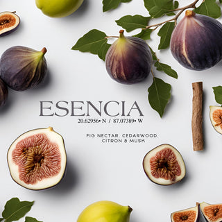 Esencia 20° 87° (15 oz Double Wick) - Notes: Fig Nectar, Cedarwood, Citron, Zest, Benzoin & Musk - By Baano