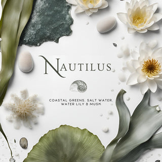 Nautilus Room Spray - By Baano