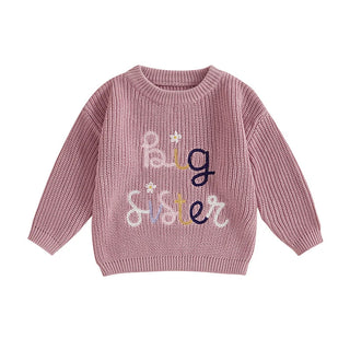 Baby Toddler Kids Girls Big Sister Fall Winter Sweater Casual Letter Flower Embroidery Crew Neck Long Sleeve Pullover Top