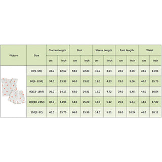 Baby Toddler Girls 2Pcs Floral Outfit Cap Sleeve T-shirt Top Elastic Waist Ruffle Shorts Summer Set