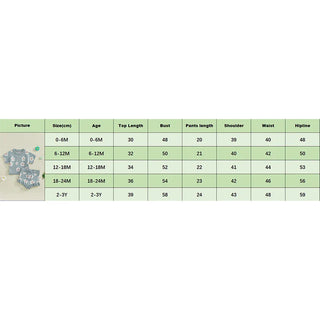 Baby Toddler Girls 2Pcs Clothes Set Short Sleeve Floral Flowers Print Knit Top +Shorts Bloomers Spring Outfit