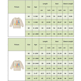 Baby Toddler Kids Girls Boys Matching Outfits Letter Print Big Lil Cousin Long Sleeve Crewneck Top