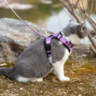 Mr. Peanut's PurrTrek Reflective Cat Harness with Matching Leash - By Baano