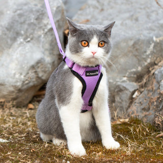 Mr. Peanut's PurrTrek Reflective Cat Harness with Matching Leash - By Baano