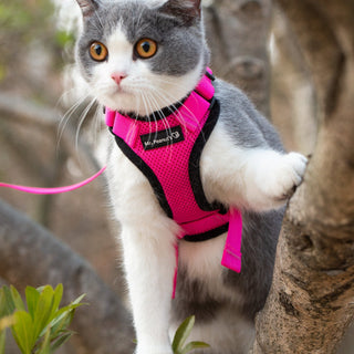 Mr. Peanut's PurrTrek Reflective Cat Harness with Matching Leash - By Baano