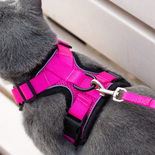 Mr. Peanut's PurrTrek Reflective Cat Harness with Matching Leash - By Baano