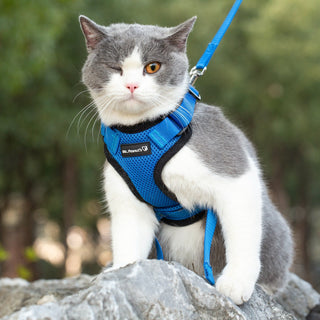 Mr. Peanut's PurrTrek Reflective Cat Harness with Matching Leash - By Baano